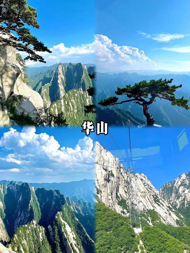 夜攻略遛娃胜地+童趣路线推荐开元ky棋牌