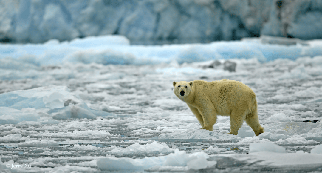 帆船包船环岛航程（2025720-2586）开元棋牌再次扬帆圆梦北极 北极斯瓦尔