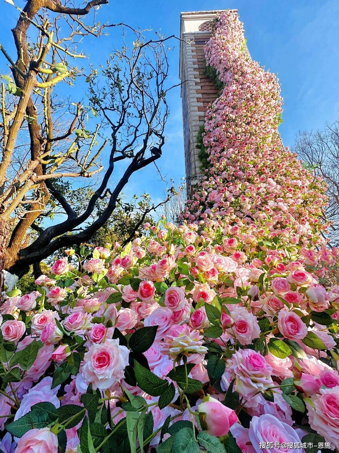四晚旅游不足千元云南五日游详细线路及费用开元ky棋牌云南高端