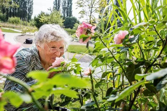 这里的养老村惊呆啦！(深度分享)开元棋牌app我第一次到德国被(图2)